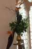 150th Celebration - Flower Festival