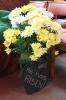 150th Celebration - Flower Festival