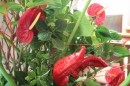 150th Celebration - Flower Festival