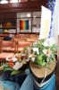 150th Celebration - Flower Festival